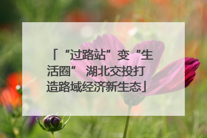 “过路站”变“生活圈” 湖北交投打造路域经济新生态