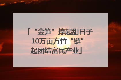 “金笋”撑起甜日子 10万亩方竹“链”起团结富民产业