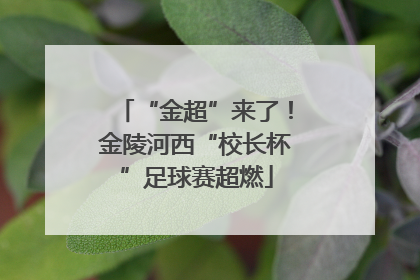 “金超”来了！金陵河西“校长杯”足球赛超燃