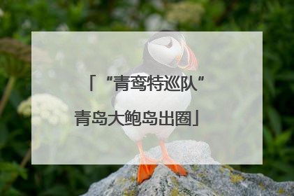 “青鸾特巡队”青岛大鲍岛出圈