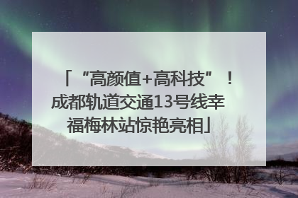 “高颜值+高科技”！成都轨道交通13号线幸福梅林站惊艳亮相