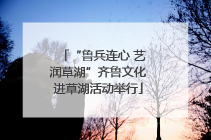 “鲁兵连心 艺润草湖”齐鲁文化进草湖活动举行