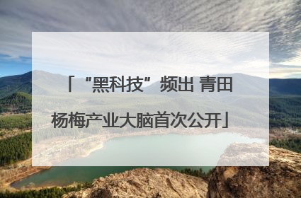 “黑科技”频出 青田杨梅产业大脑首次公开
