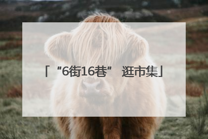 “6街16巷” 逛市集