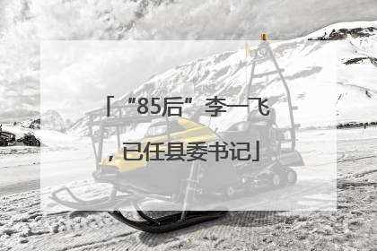 “85后”李一飞，已任县委书记