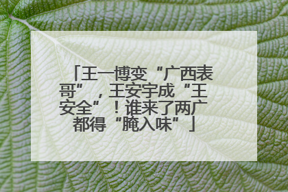 王一博变“广西表哥”，王安宇成“王安全”！谁来了两广都得“腌入味”