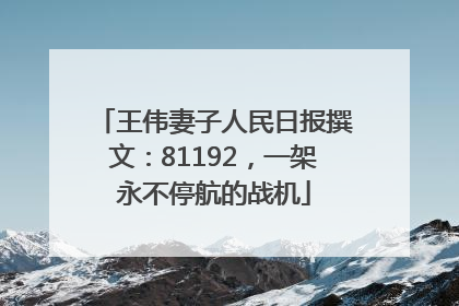 王伟妻子人民日报撰文：81192，一架永不停航的战机