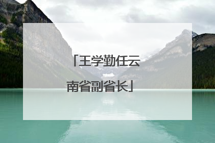 王学勤任云南省副省长