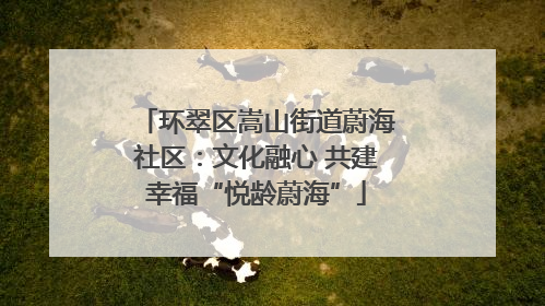 环翠区嵩山街道蔚海社区：文化融心 共建幸福“悦龄蔚海”