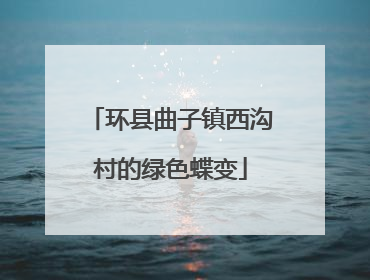 环县曲子镇西沟村的绿色蝶变