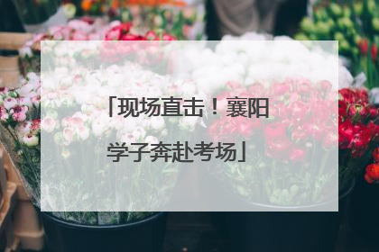 现场直击！襄阳学子奔赴考场