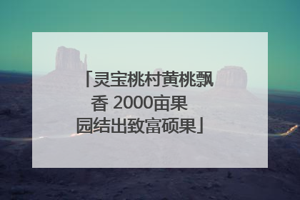灵宝桃村黄桃飘香 2000亩果园结出致富硕果