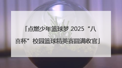 点燃少年篮球梦 2025“八喜杯”校园篮球精英赛圆满收官