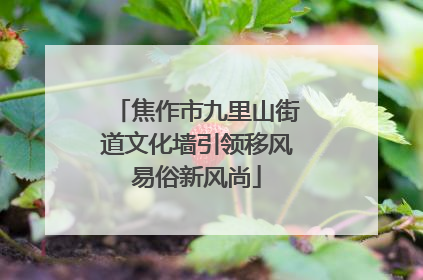 焦作市九里山街道文化墙引领移风易俗新风尚