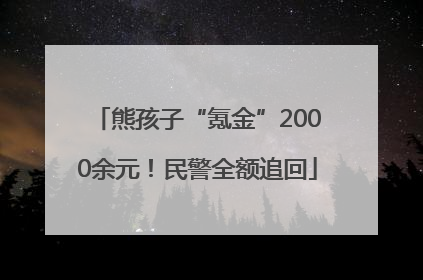 熊孩子“氪金”2000余元！民警全额追回