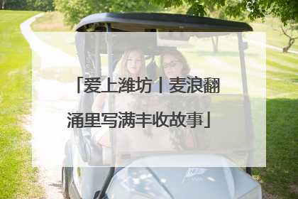 爱上潍坊丨麦浪翻涌里写满丰收故事