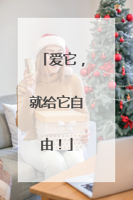 爱它，就给它自由！