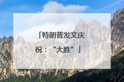 特朗普发文庆祝：“大胜”