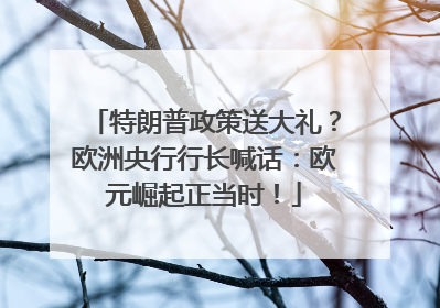 特朗普政策送大礼？欧洲央行行长喊话：欧元崛起正当时！