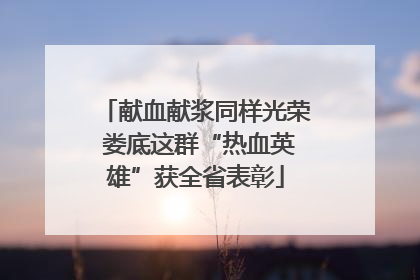 献血献浆同样光荣 娄底这群“热血英雄”获全省表彰