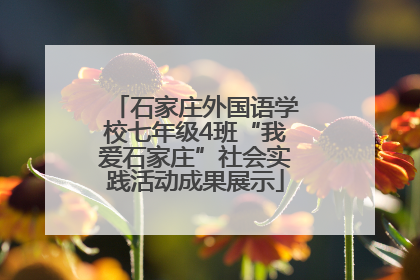 石家庄外国语学校七年级4班“我爱石家庄”社会实践活动成果展示