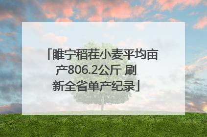 睢宁稻茬小麦平均亩产806.2公斤 刷新全省单产纪录