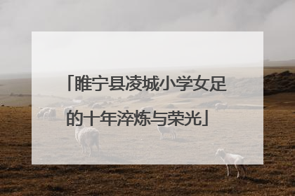 睢宁县凌城小学女足的十年淬炼与荣光