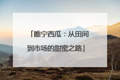 睢宁西瓜：从田间到市场的甜蜜之路