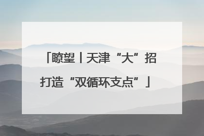 瞭望丨天津“大”招打造“双循环支点”