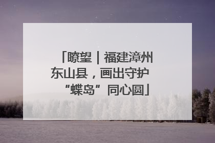 瞭望｜福建漳州东山县，画出守护“蝶岛”同心圆