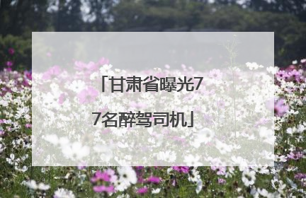 甘肃省曝光77名醉驾司机