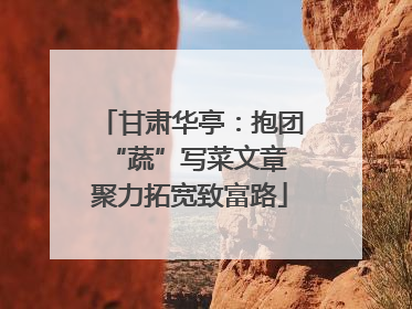 甘肃华亭：抱团“蔬”写菜文章 聚力拓宽致富路