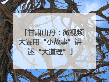 甘肃山丹：微视频大赛用“小故事”讲述“大道理”