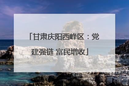 甘肃庆阳西峰区：党建强链 富民增收
