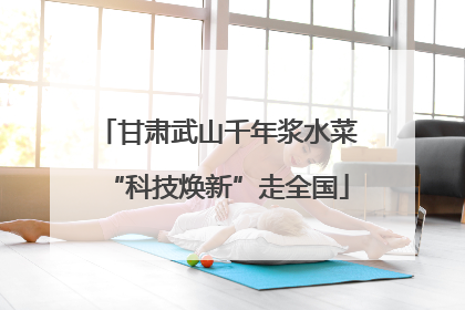 甘肃武山千年浆水菜“科技焕新”走全国