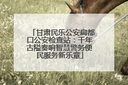 甘肃民乐公安扁都口公安检查站：千年古隘奏响智慧警务便民服务新乐章