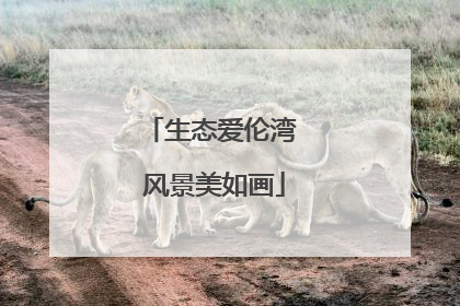生态爱伦湾 风景美如画