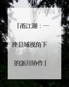 甬江潮：一座县域视角下的浙川协作