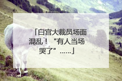 白宫大裁员场面混乱！“有人当场哭了”……