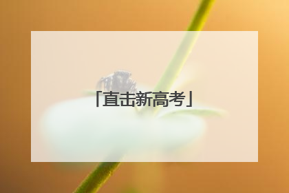 直击新高考