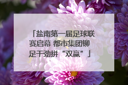 盐南第一届足球联赛启幕 都市集团铆足干劲拼“双赢”