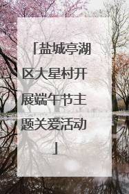 盐城亭湖区大星村开展端午节主题关爱活动