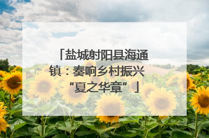 盐城射阳县海通镇：奏响乡村振兴“夏之华章”