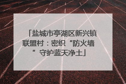 盐城市亭湖区新兴镇联盟村：密织“防火墙”守护蓝天净土
