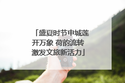 盛夏时节申城莲开万象 荷韵流转激发文旅新活力