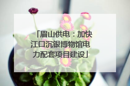 眉山供电：加快江口沉银博物馆电力配套项目建设