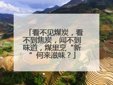 看不见煤炭，看不到焦炭，闻不到味道，煤里烹“新”何来滋味？