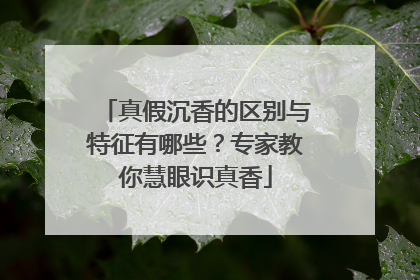真假沉香的区别与特征有哪些？专家教你慧眼识真香