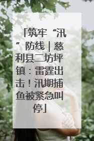 筑牢“汛”防线｜慈利县二坊坪镇：雷霆出击！汛期捕鱼被紧急叫停