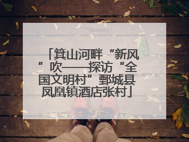 箕山河畔“新风”吹——探访“全国文明村”鄄城县凤凰镇酒店张村